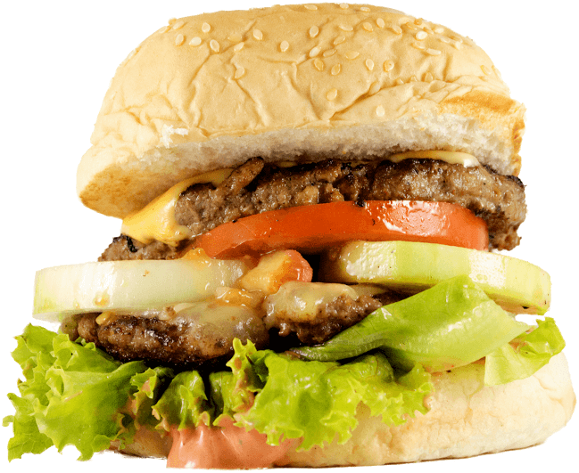 zestylicious double cheeseburger
